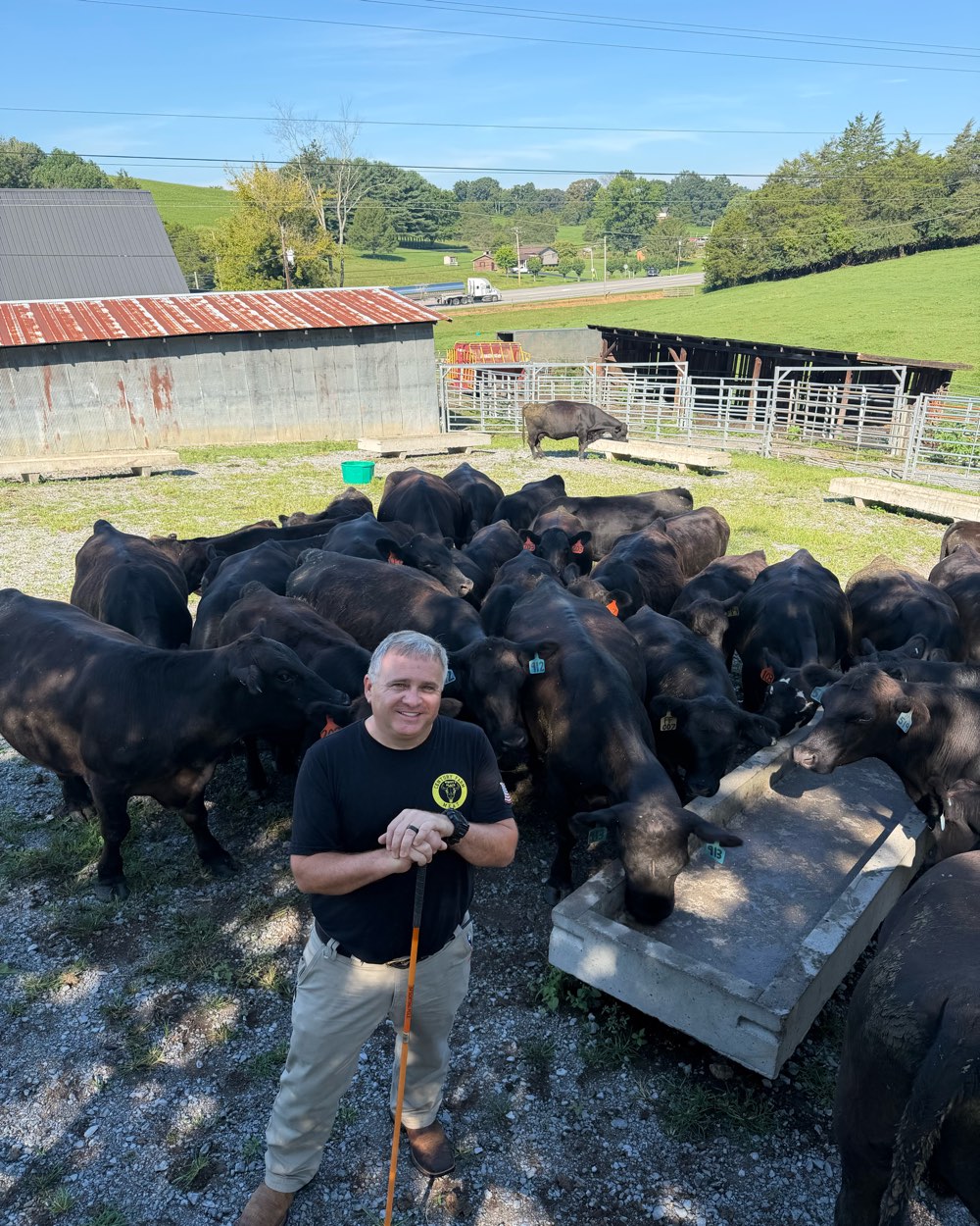 Whitt Shuford standing among his black Angus herd at the century farm, the barns and pasture behind him